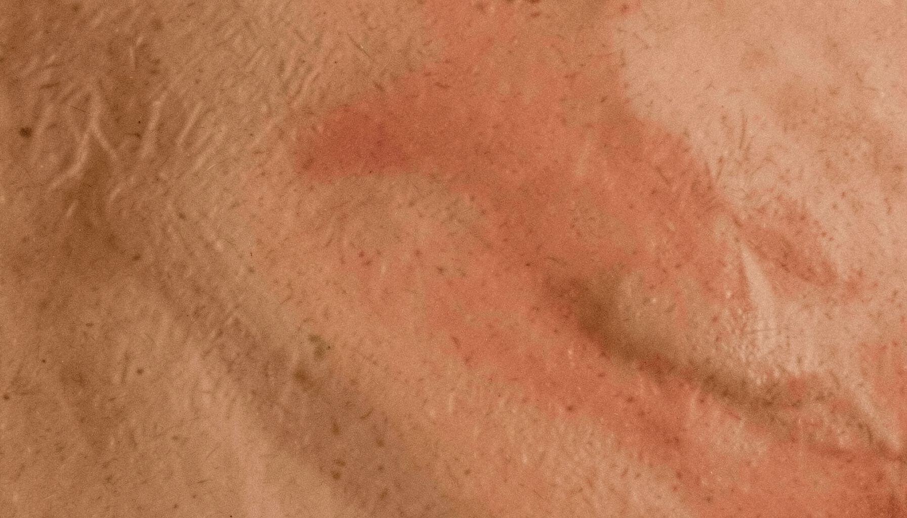 Kahverengi ve krem tonlarında iki renkli duotone fotoğraf, sıcak ve yumuşak bot dokusunu andıran dokunmuş yüzey